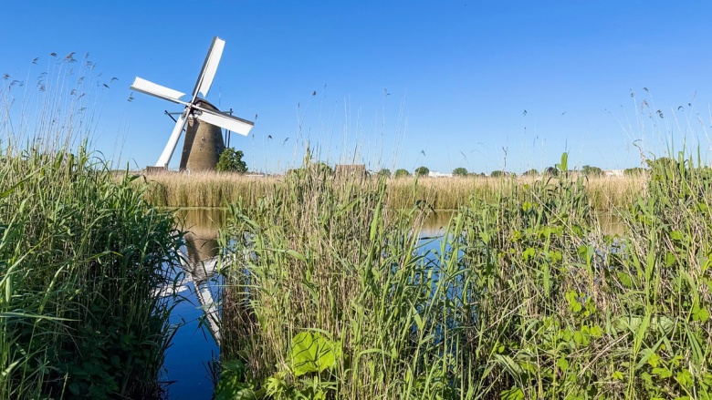 Hollanda'da Ulusal Değirmen Günü'nde yüzlerce değirmen ziyarete açıldı