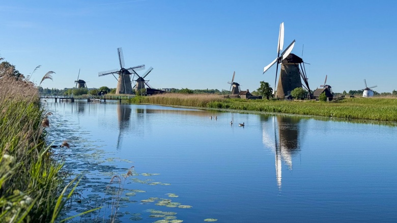 Hollanda'da Ulusal Değirmen Günü'nde yüzlerce değirmen ziyarete açıldı