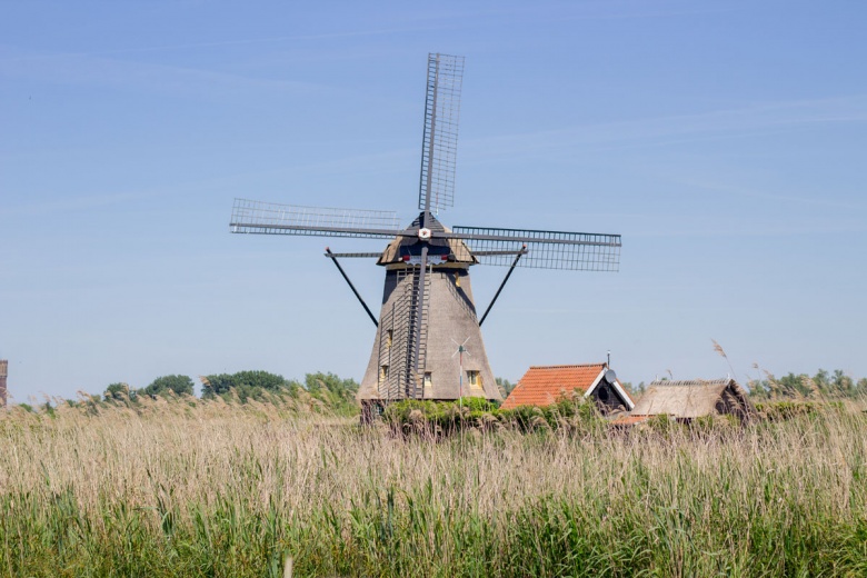 Hollanda'da Ulusal Değirmen Günü'nde yüzlerce değirmen ziyarete açıldı