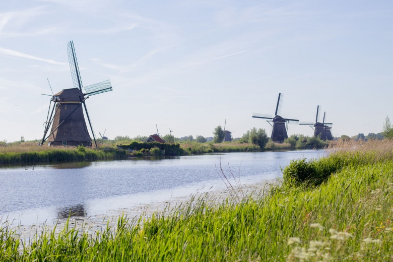 Hollanda'da Ulusal Değirmen Günü'nde yüzlerce değirmen ziyarete açıldı