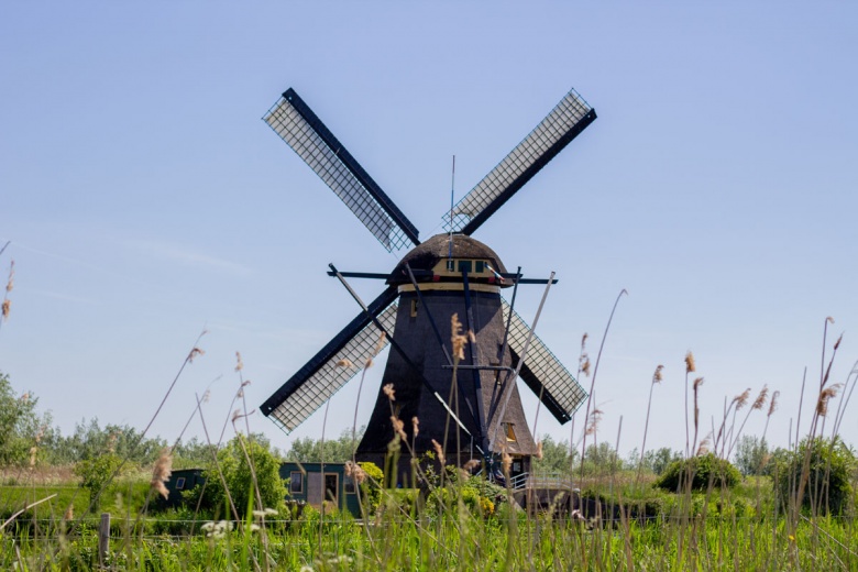 Hollanda'da Ulusal Değirmen Günü'nde yüzlerce değirmen ziyarete açıldı