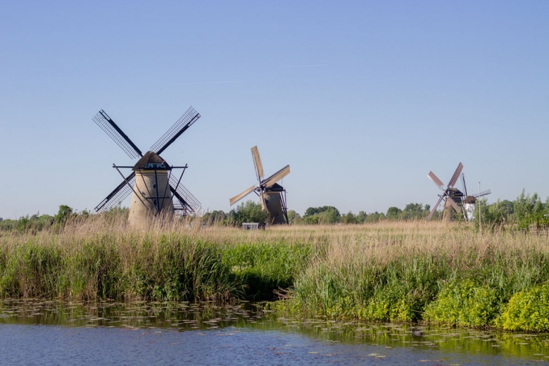 Hollanda'da Ulusal Değirmen Günü'nde yüzlerce değirmen ziyarete açıldı