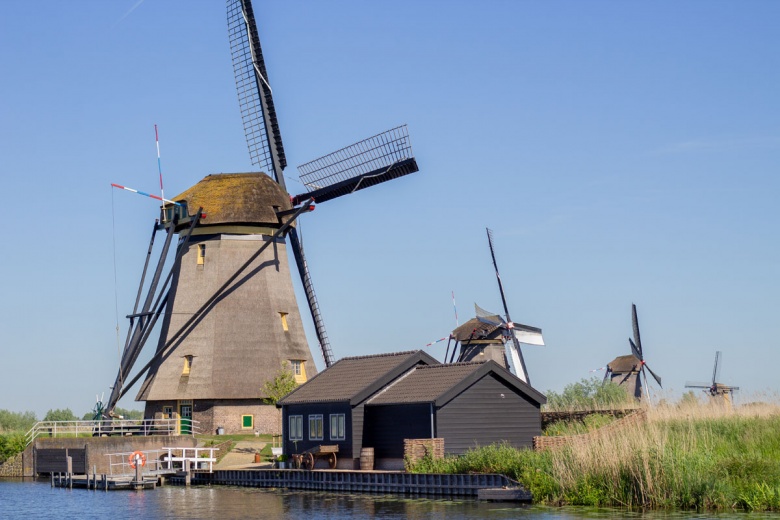 Hollanda'da Ulusal Değirmen Günü'nde yüzlerce değirmen ziyarete açıldı