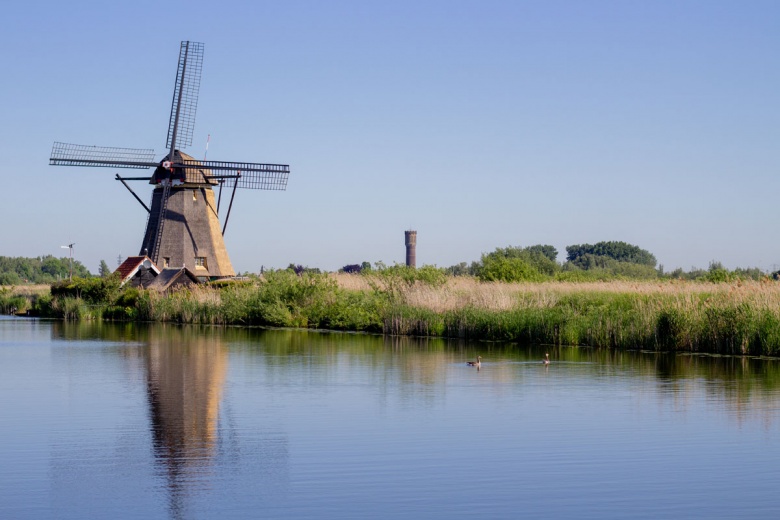 Hollanda'da Ulusal Değirmen Günü'nde yüzlerce değirmen ziyarete açıldı