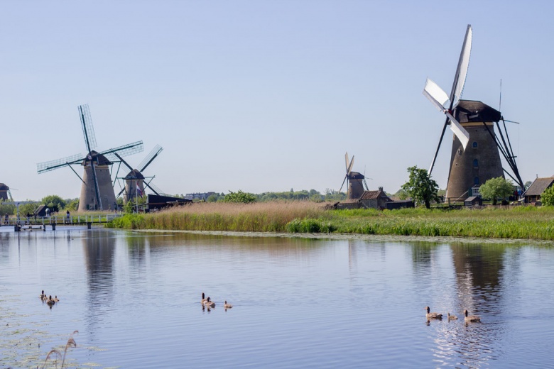 Hollanda'da Ulusal Değirmen Günü'nde yüzlerce değirmen ziyarete açıldı