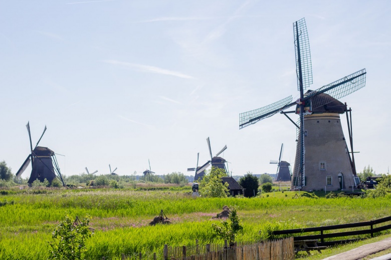 Hollanda'da Ulusal Değirmen Günü'nde yüzlerce değirmen ziyarete açıldı