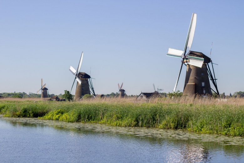 Hollanda'da Ulusal Değirmen Günü'nde yüzlerce değirmen ziyarete açıldı