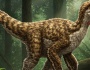 Yuanmouraptor jinshajiangensis: Yuanmou soyguncusu
