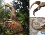 Duonychus tsogtbaatari: Moğolistanda bulunun dev pençeli otçul dinozor