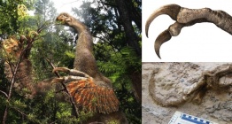 Duonychus tsogtbaatari: Moğolistanda bulunun dev pençeli otçul dinozor