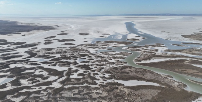 Tuz Gölünde tehlik çanları çalıyor