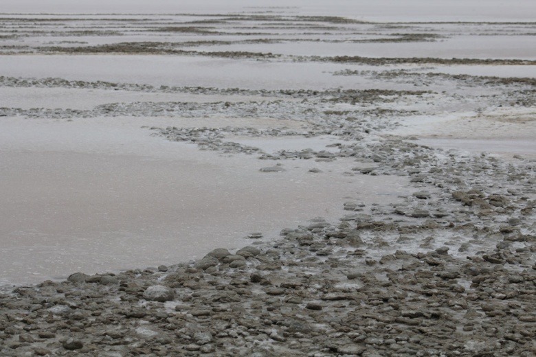 Tuz Gölü'nde tehlik çanları çalıyor