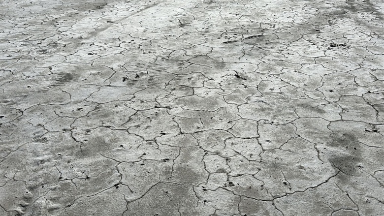 Tuz Gölü'nde tehlik çanları çalıyor