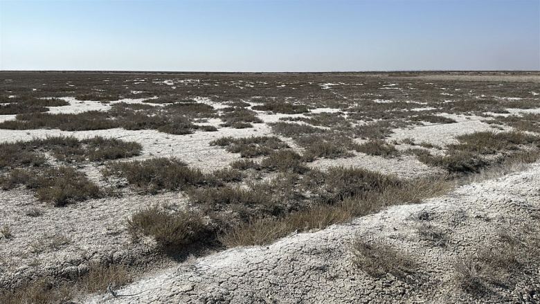 Tuz Gölü'nde tehlik çanları çalıyor