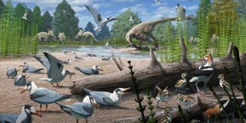 Alaskadaki 73 milyon yıllık fosiller, kuşlarla dinozorların yan yana yaşadığını kanıtladı