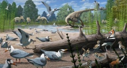 Alaskadaki 73 milyon yıllık fosiller, kuşlarla dinozorların yan yana yaşadığını kanıtladı