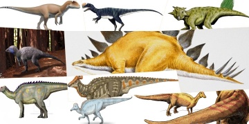 Rusya, dinozor arama projesi ile 14 dinozor türü keşfetmeyi başardı