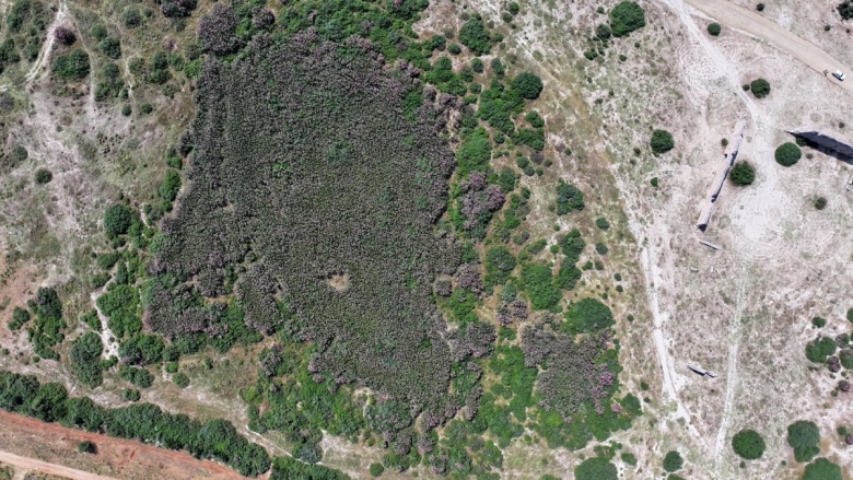 Pisidya'yı Pamfilya'ya bağlayan antik yol yahut Yörük yolu