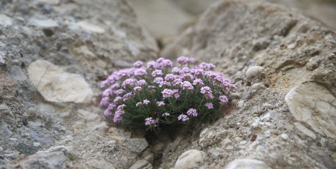 Kahramanmaraş Geben Vadisi Milli Park İlan edildi