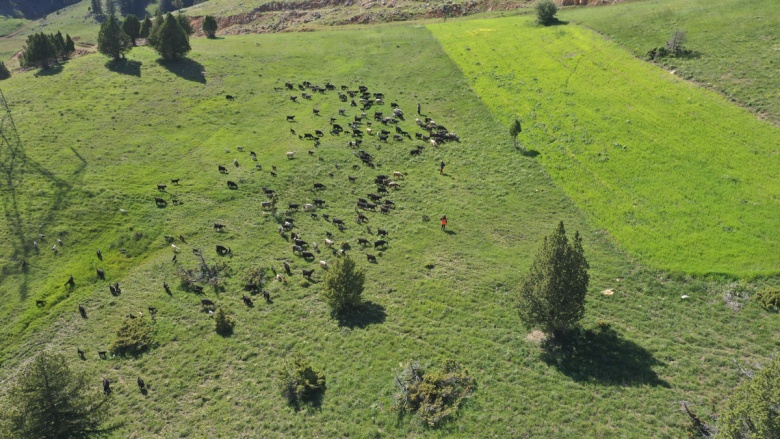 Kahramanmaraş Geben Vadisi Milli Park İlan edildi
