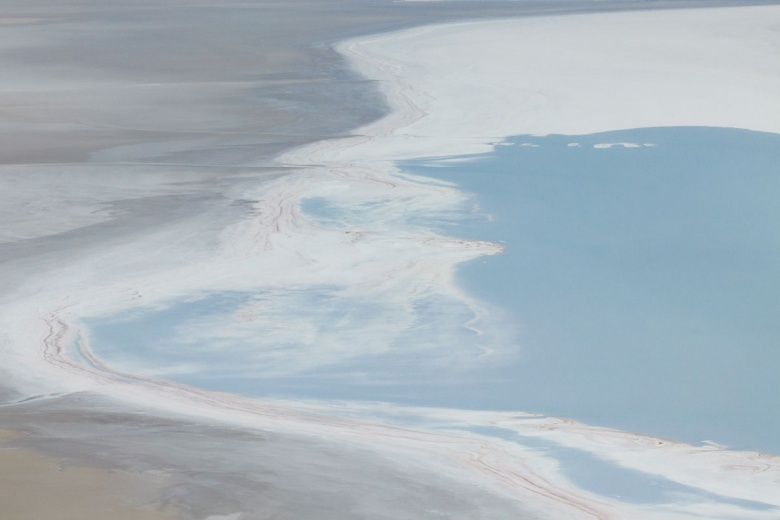 Kuraklık nedeniyle Tuz Gölü'ndeki flamingo sayısı azaldı