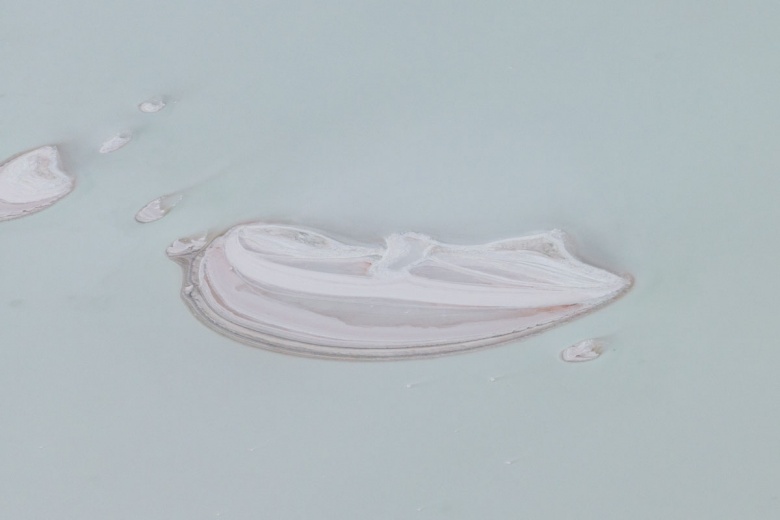 Kuraklık nedeniyle Tuz Gölü'ndeki flamingo sayısı azaldı