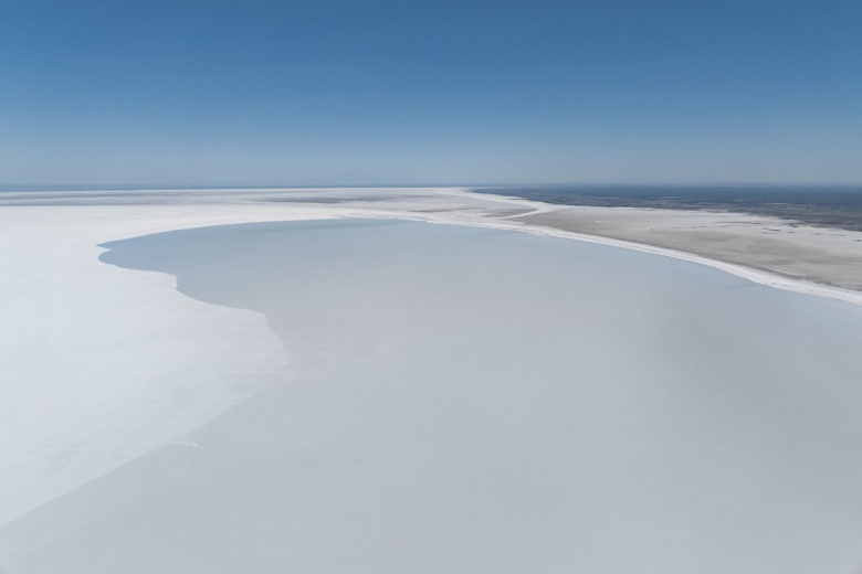 Kuraklık nedeniyle Tuz Gölü'ndeki flamingo sayısı azaldı