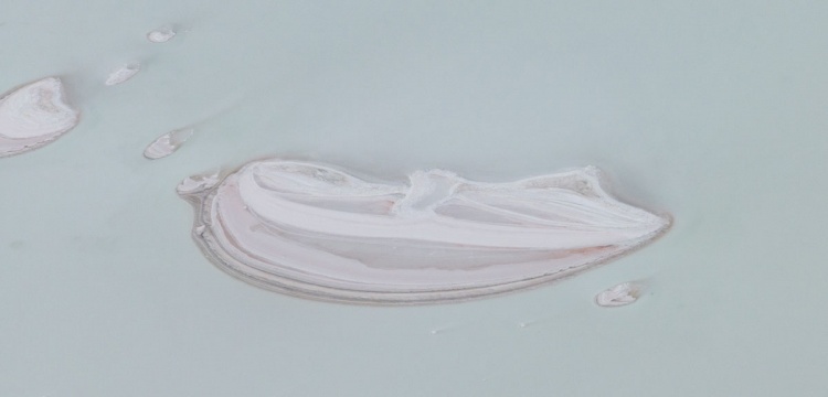 Kuraklık Tuz Gölü'ndeki yaban hayatını da tehdit ediyor