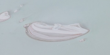 Kuraklık Tuz Gölündeki yaban hayatını da tehdit ediyor