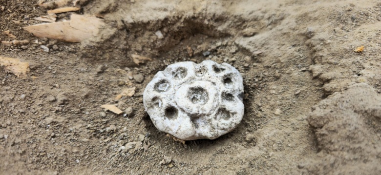 Keşikçidağ’da 3800 Yıllık Kurgan Bulundu