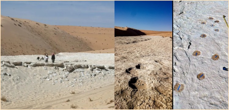 Suudi Arabistan'da 120 Bin Yıllık İnsan Ayak İzleri keşfedildi