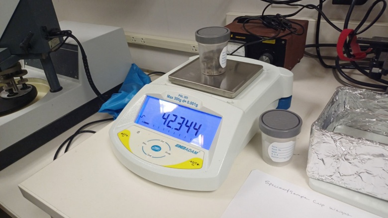 Marcus Aurelius Heykeli Turkiyeye Döndü