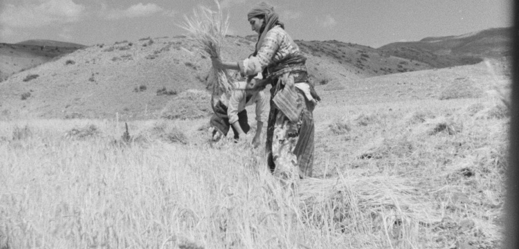 Sansürün İzinde Bir Sinema Arkeolojisi: Karanlık Dünya Sergisi Salt Galata'da