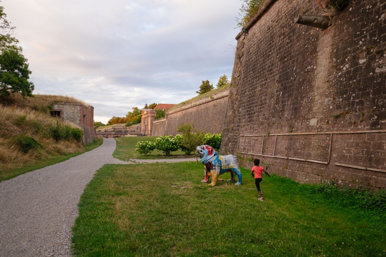 Sekizgen Planlı Şehir: Neuf-Brisach
