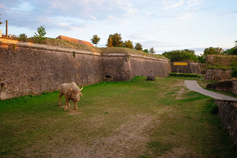 Sekizgen Planlı Şehir: Neuf-Brisach