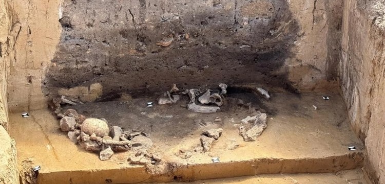 Almanya’da arkeologlar 5 Bin Yıllık gizemli Salzmünde kültürü Ritüellerini araştıryor