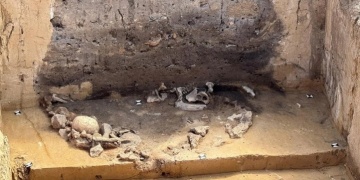 Almanyada arkeologlar 5 Bin Yıllık gizemli Salzmünde kültürü Ritüellerini araştıryor