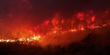 Dünya Orman Yangınları Tehdidi Altında