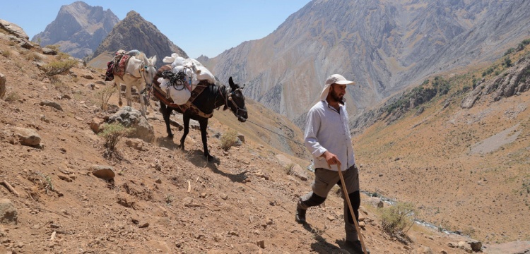 Hakkari'nin Cilo Dağları'nda katırlar dağcıların en büyük yardımcısı