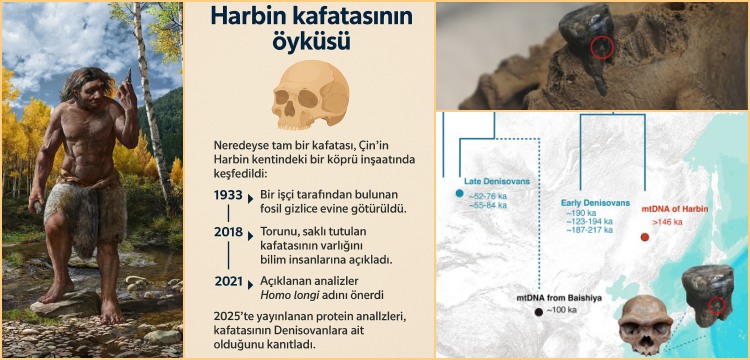 Altay İnsanının gizemi çözülüyor: Denisovan soyu insana Neandertalden daha yakın