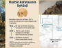 Altay İnsanının gizemi çözülüyor: Denisovan soyu insana Neandertalden daha yakın