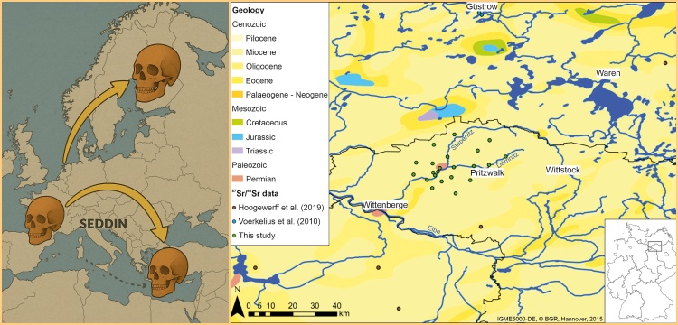 Brandenburg’daki tümülüsler Geç Tunç Çağı elit göçmenlerini deşifre ediyor