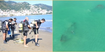Batık Rus Şilebinin yeniden keşfi Orduya dalış merkezi olma hayallerini canlandırdı