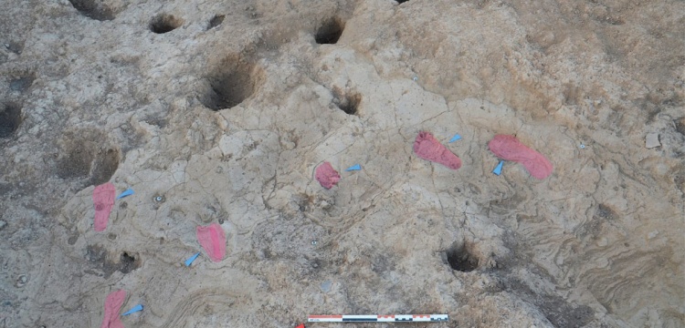 Tell Kurdu Höyüğü’nde Ubeyd Dönemi’ne Ait Ayak İzleri