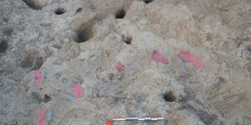 Tell Kurdu Höyüğünde Ubeyd Dönemine Ait Ayak İzleri