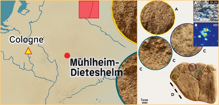 Palaeolitik Mavi, Neolitik Palet: Avrupa’da Mavi Renk Kullanının En Eski İzleri Keşfedildi