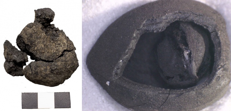 4 Bin Yıllık Nohut, 8 Bin 600 Yıllık Ekmek: Anadolu’nun Gastronomik Mirası