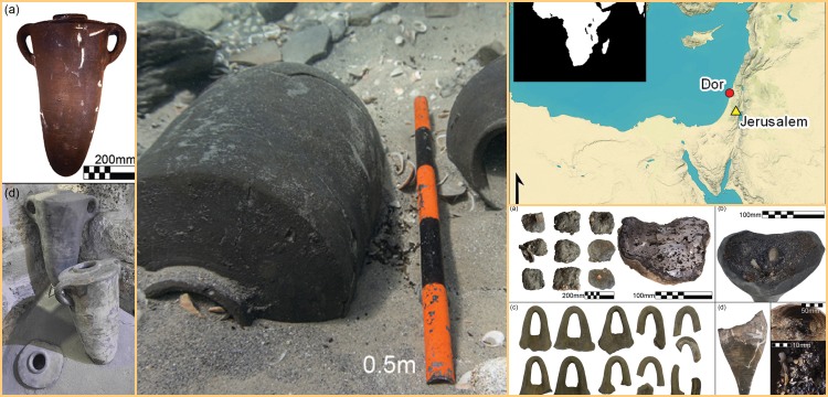 Fenike sularındaki batık keşifleri Demir Çağı Deniz Ticaretini aydınlanıyor