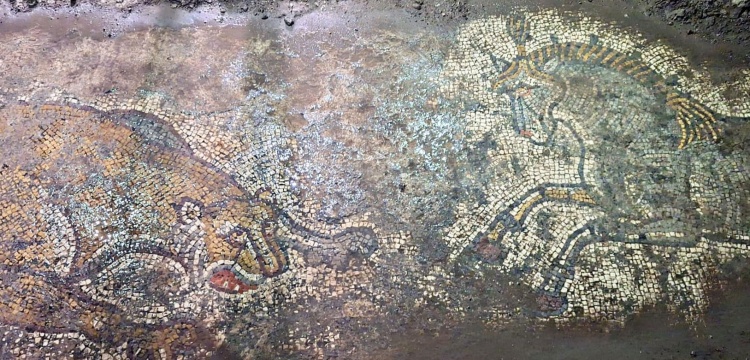 Derik’te 1500 Yıllık Roma Mirası: Figürlü Mozaik Kaçakçılardan Kurtarıldı