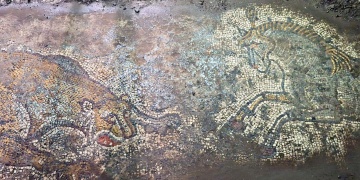 Derikte 1500 Yıllık Roma Mirası: Figürlü Mozaik Kaçakçılardan Kurtarıldı